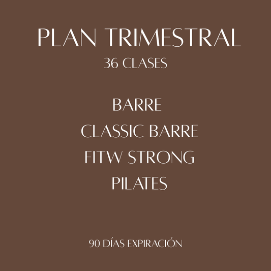 LOS LEONES - TRIMESTRAL - 36 CLASES